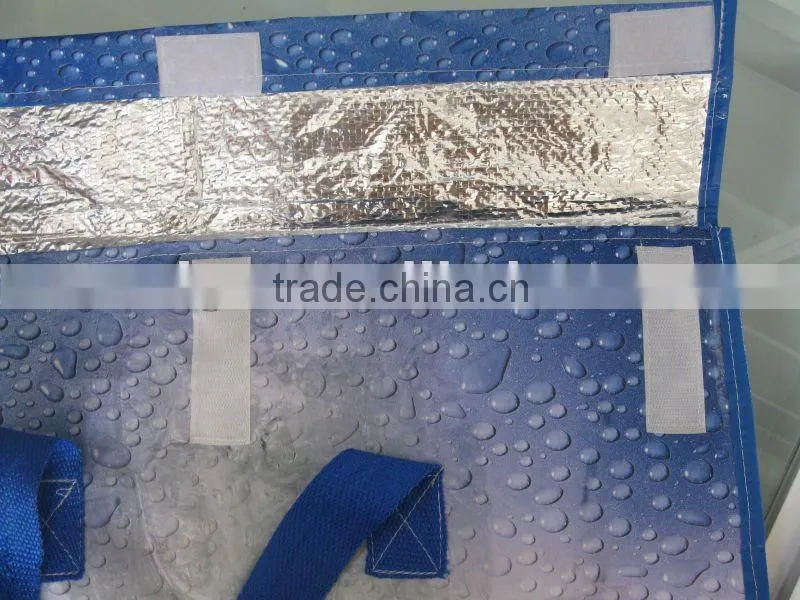 bagged ice storage box