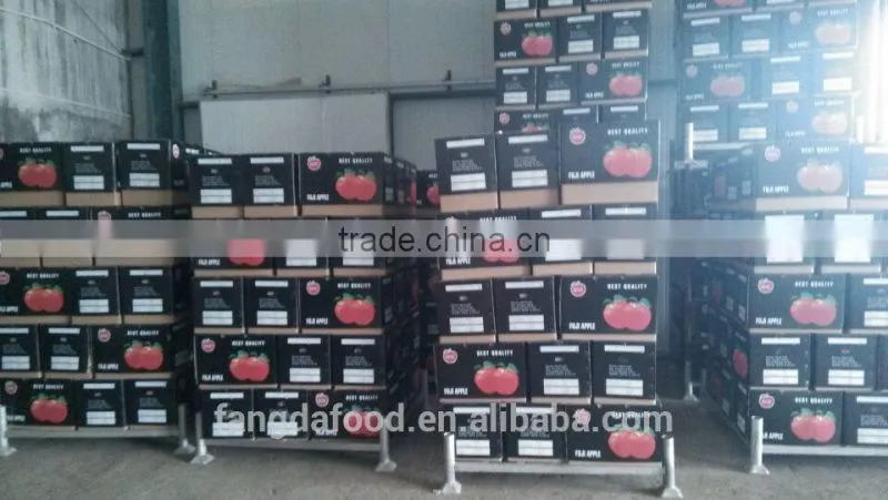 paper bagged qinguan apple