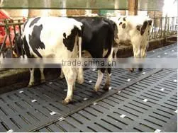 Dense stud Rubber Stable Mat, Cow Mat, Rubber Flooring for Horse