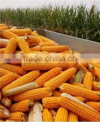 Corn husker machine made in China for sale