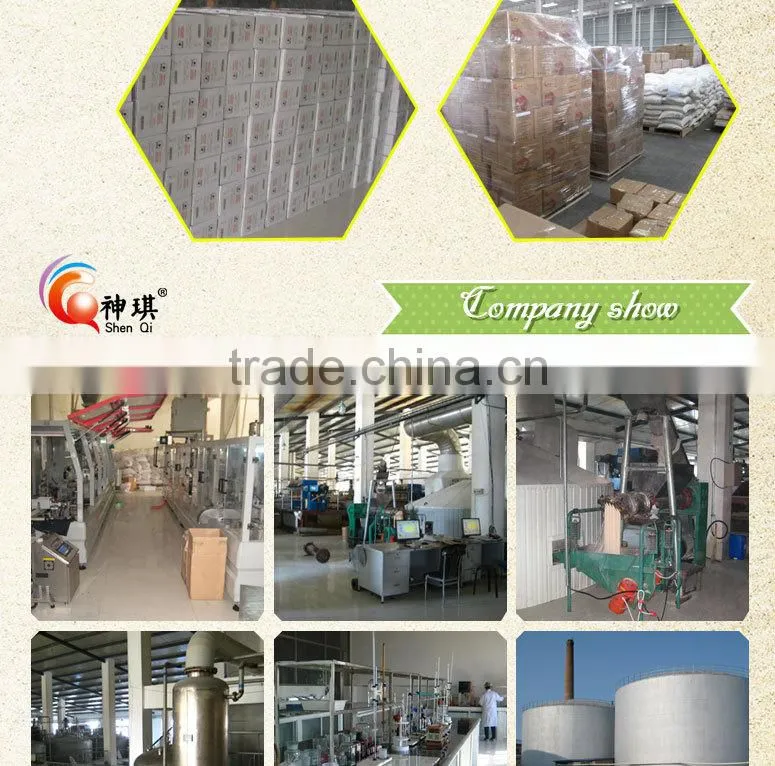 Baking powder manufacturer for bread