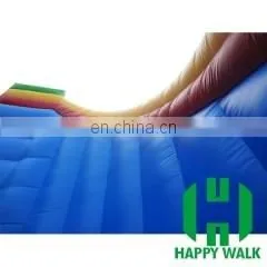 Giant Inflatable water slide for adult/Cheap inflatable water slide for sale