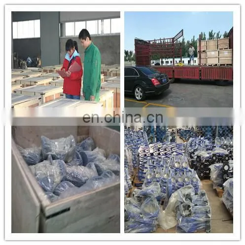 6 inch cast iron dual plate check valve water check valve