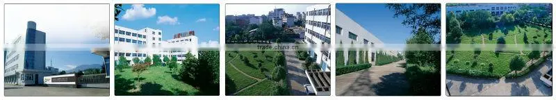 Clear PET deli containers,salad bowls,First manufacturer of PET products in China, best supplier