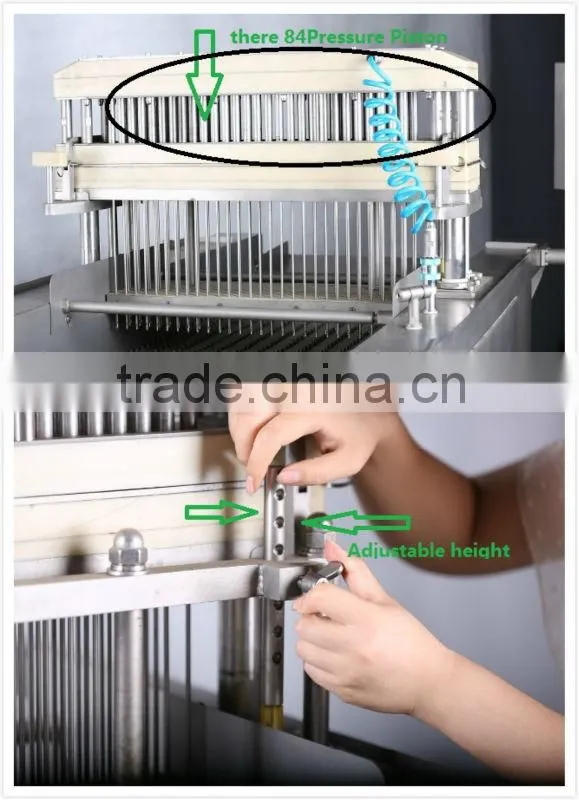 Brine /Saline Injector for beef ,duck ,chicken ,fish and so on