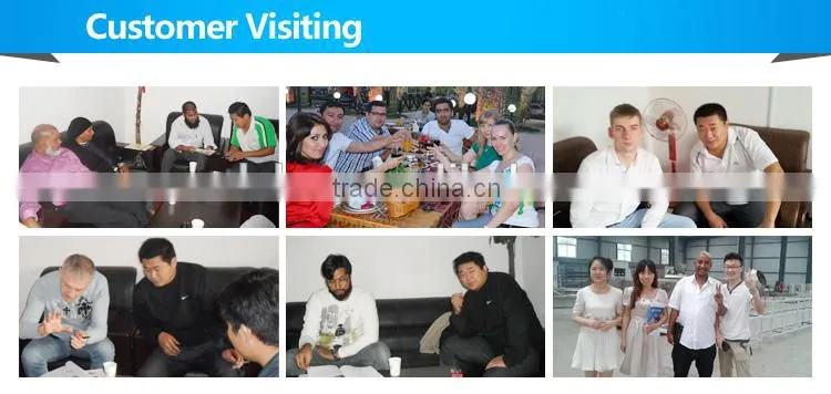 Milk Biscuit production line factory price