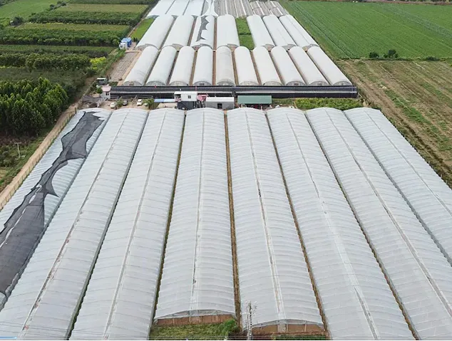 Shijiazhuang Lianshou Seed Sales Co., Ltd. company overview - view 1