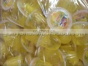 complete jelly manufacturing equipment