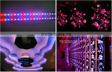 Best selling SMD5050 DC12V/24V four colors in one led flex RGBW with 84leds led motion sensor programmble led strip grow lights