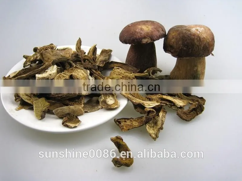 Dried Mushroom