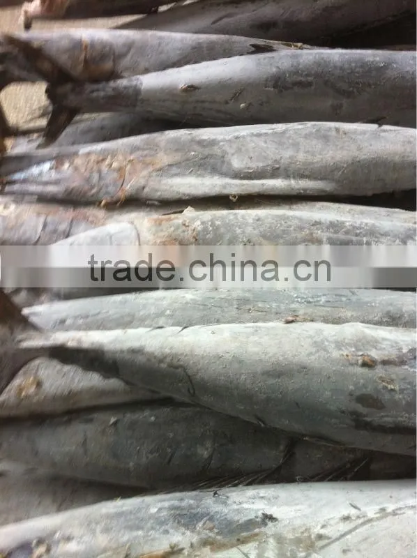 Spanish mackerel fillets