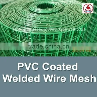 china facotry green color epoxy coated wire mesh