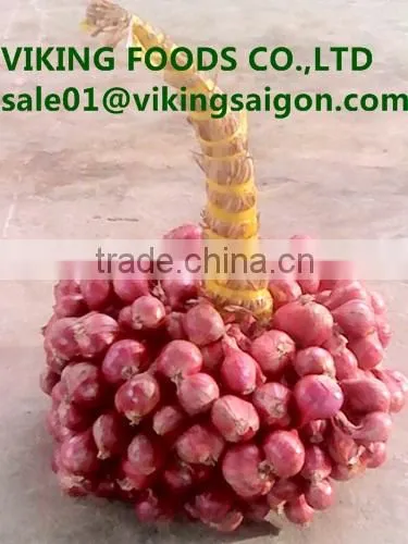 GOOD SOURCE _ *FRESH SMALL ONION* _ GOOD QUALITY