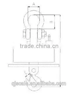 30t Digital Wireless Crane Scale
