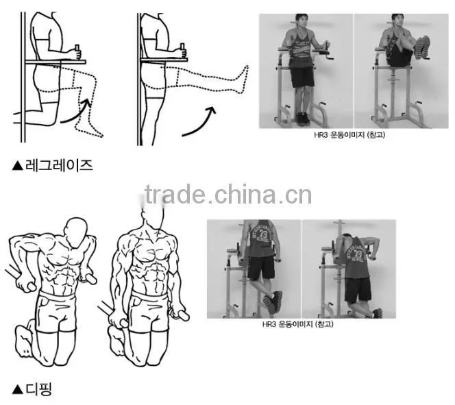 WALL MOUNT DIPPING BAR/ Gym Equipment/ Rack