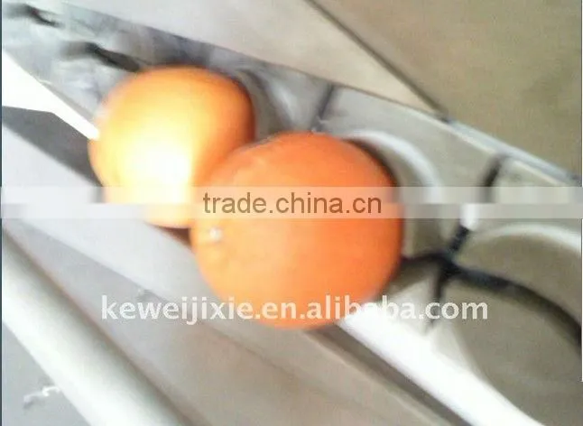 250 unit per minute Automic orange juicing machine