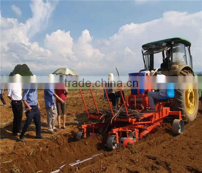 6BZ-5 Mini sugarcane machine leaf cutter easy operation sugarcane leaf remove