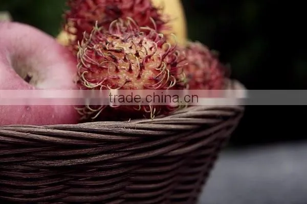 Rattan fruit basket and tray with wood handle