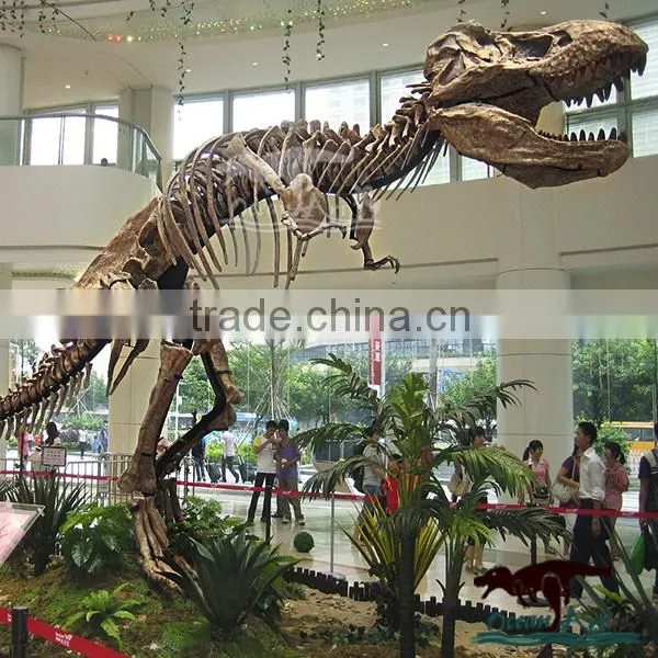 OA-SD-L100 Quality Fossil Replica Museum Dinosaur Skeleton