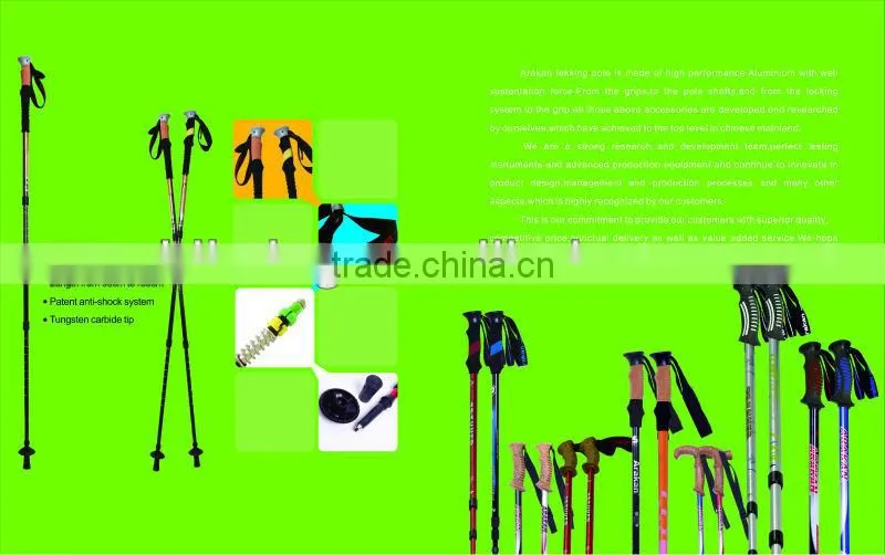Nice Trekking Poles For Kids