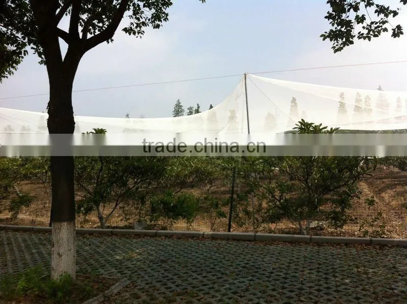 100% virgin HDPE anti-bird net / 20101-29