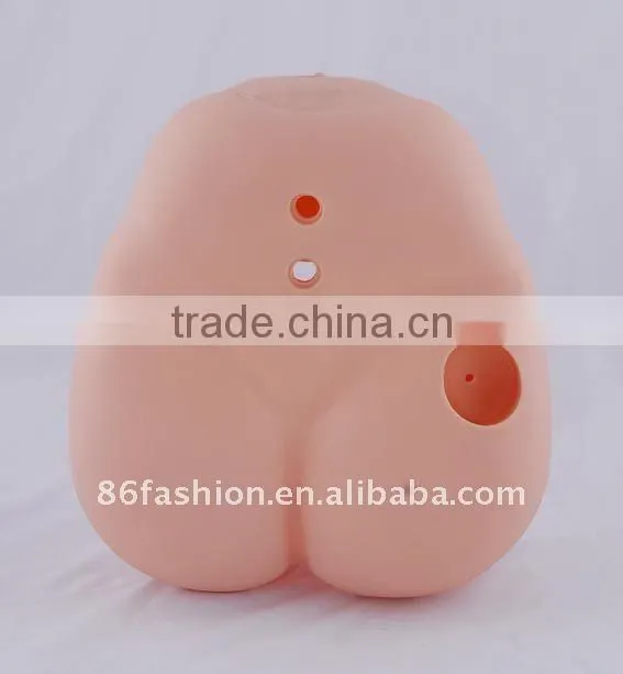 plastic human teeth model medical model