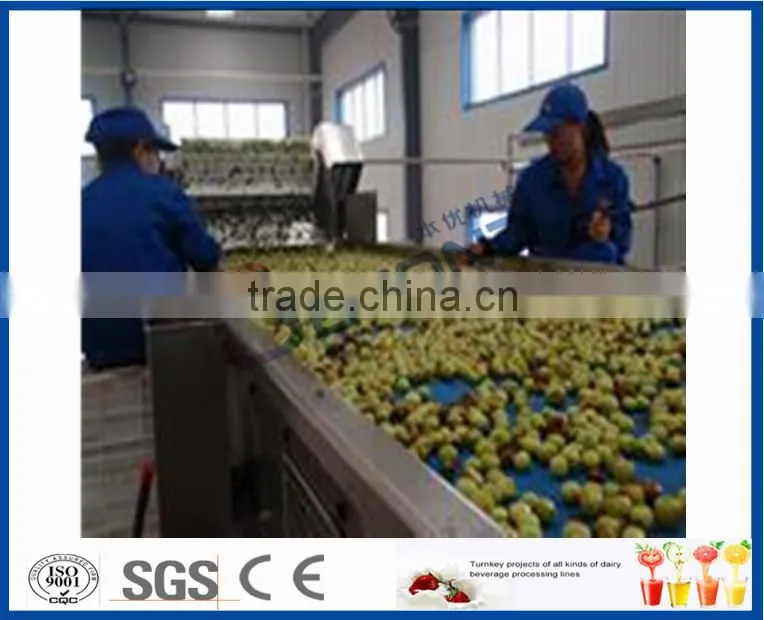 Chinese date juice processing line