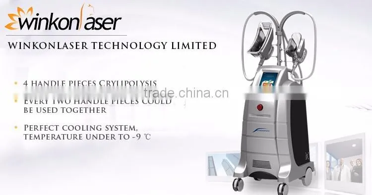 Low price CE / Rohs approved weight loss cold body sculpting cryolipolysis machine