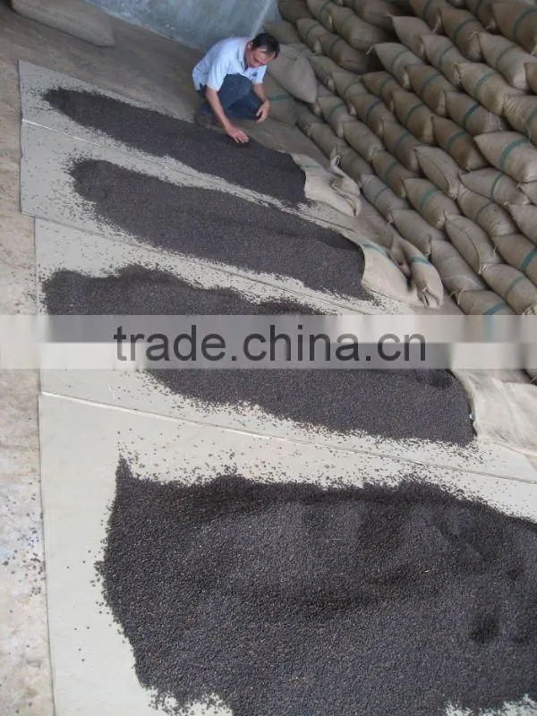 Black Pepper 500gl/550gl