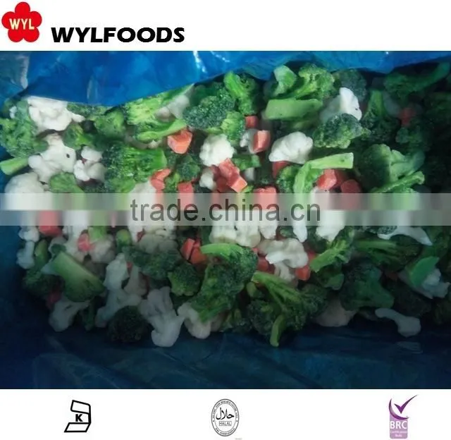 most popular frozen pleurotus eryngii 2015