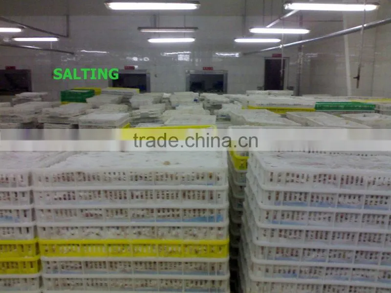 High quality dry salted pollock fillet