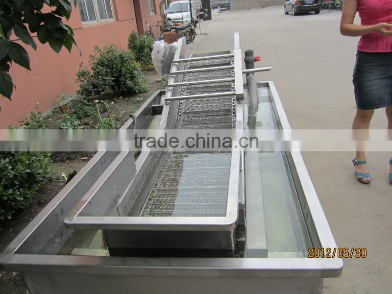 Automatic vegetable washing machine,fruit washing equipment