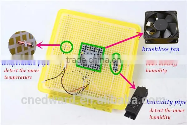 HHD Edward Newest CE 12+220V 48 Eggs Chicken Incubator For Sale/Incubator For 48 Eggs/Chicken Egg Incubator Eggs, Transparent