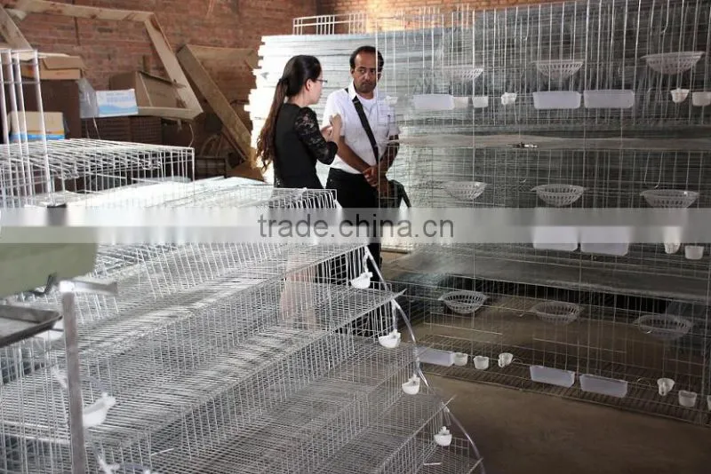 Top Promotion Double Rabbit Hutch For Sale