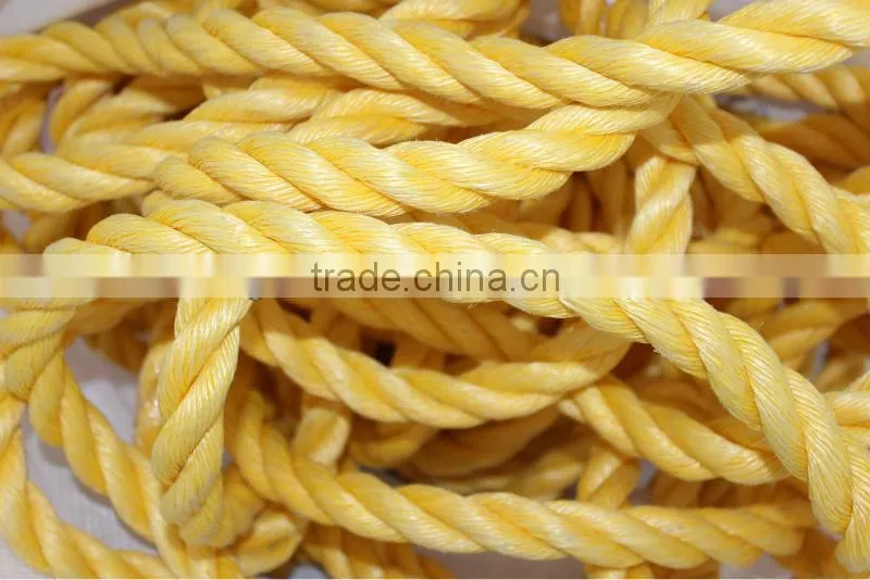 pp danline rope
