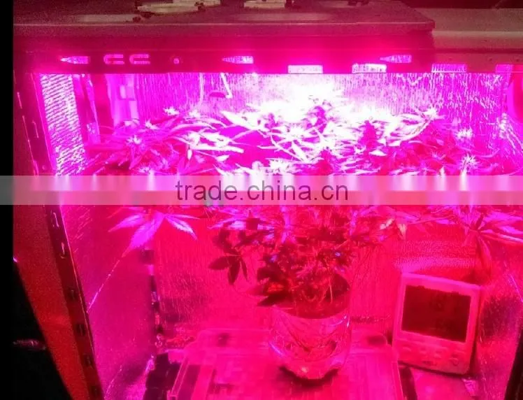 Indoor 150W COB full spectrum LED grow lamp