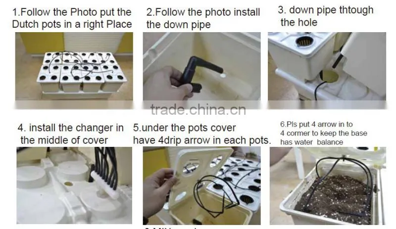 dutch bucket system