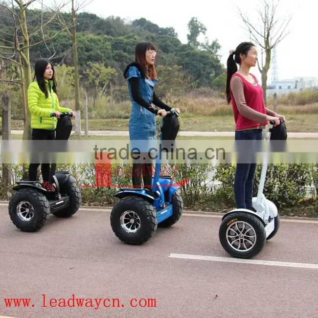 Leadway off-road 48v electric motorcycle 20km/h(RM09D+ 05)
