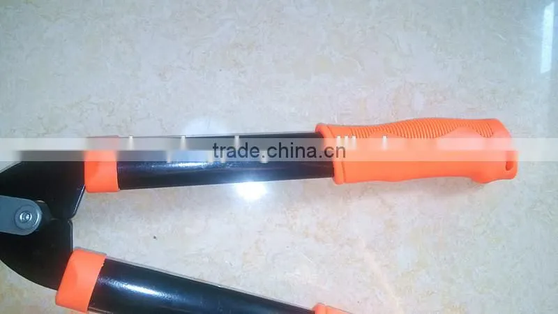 Garden electrophoresis treatment long handle plant scissors