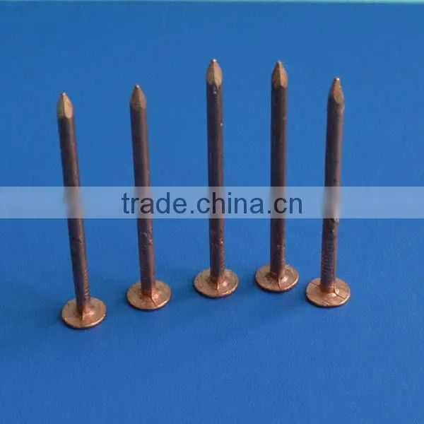 copper nails for sale