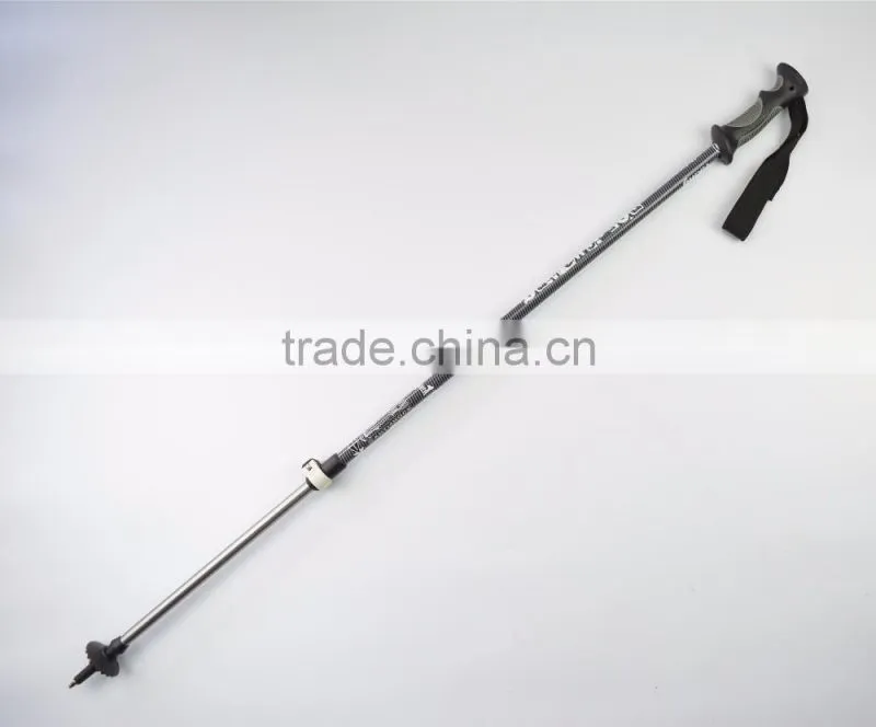 2 hours replied alpine ski pole