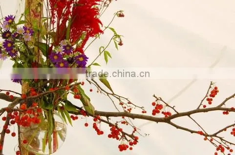 Gardening Scissors Japanese Gardening Iron Scissors Ikebana Scissors