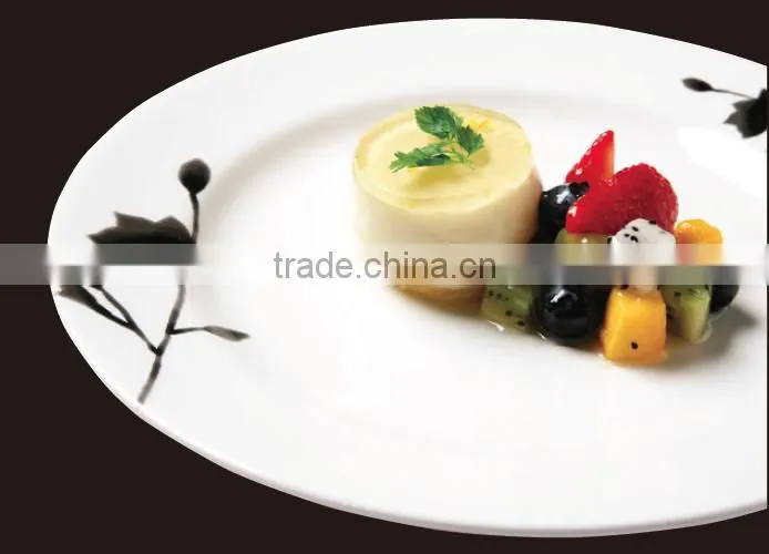 Alumicron China Ceramic Reinforced Dish Series Rin