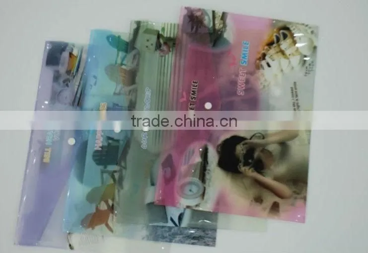 The specific pattern transparent pvc/pet/pp file bag with button