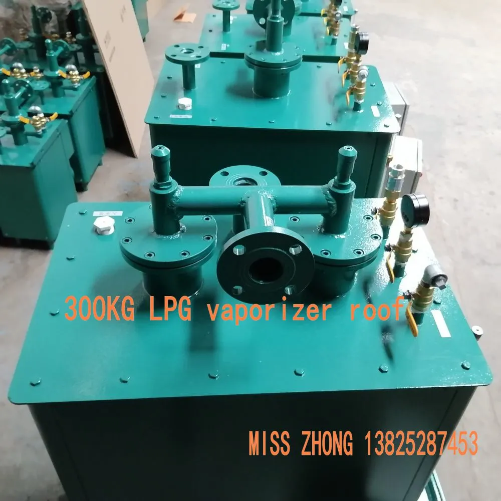 300kg LPG 炉顶.jpg.webp