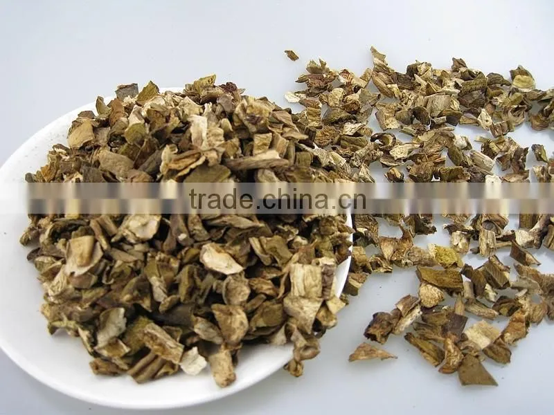 Fibrin Dried White FUNGUS MUSHROOM 2016