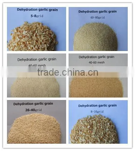 Grade A dehydrated garlic grain