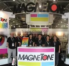 Magnetone Singapore Pte Ltd company overview - view 1