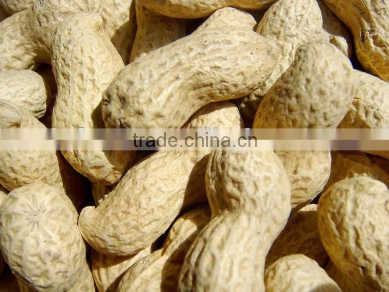 Roasted Peanut Inshell
