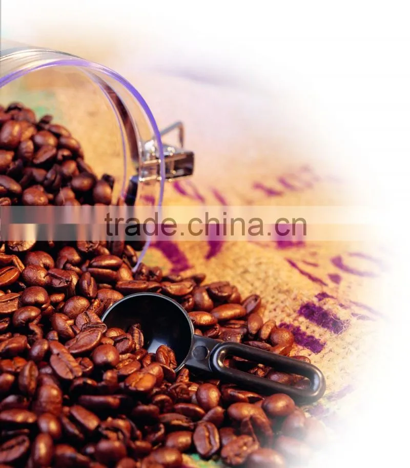 Popcorn Maker/Coffee Roaster/Coffee Bean Roaster
